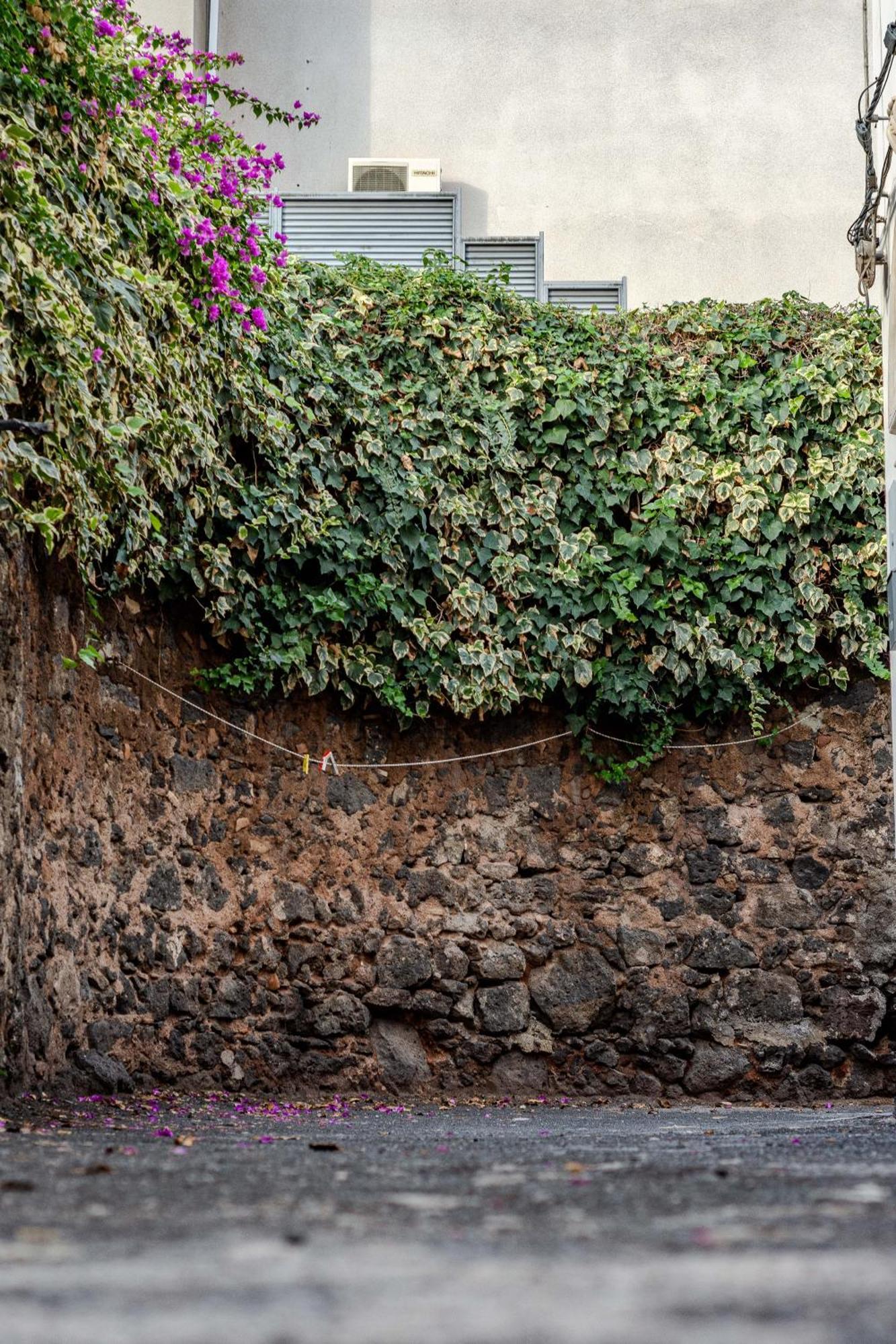 Casa Del Citrato Catane